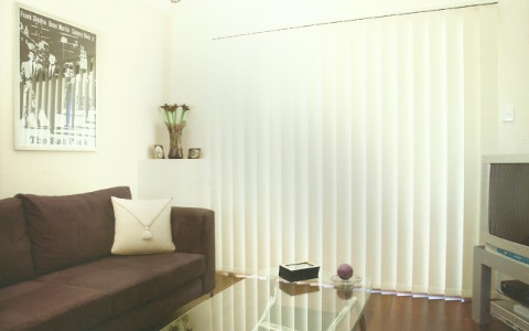 vertical blinds